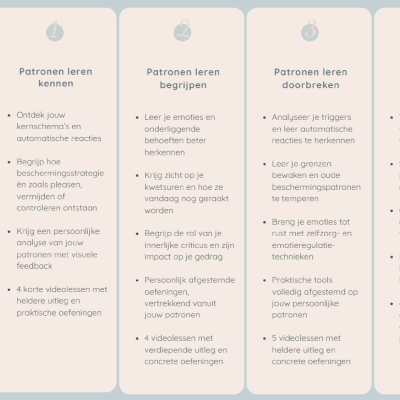 Schematherapie online